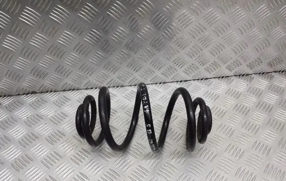 Volkswagen PASSAT B5 Rear coil spring