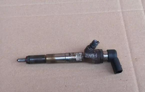 Nissan Juke I F15 Fuel injector H8201100113 166006212R