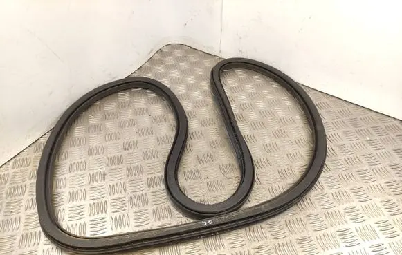 Citroen C4 III e-C4 Rear door rubber seal (on body) 993333190