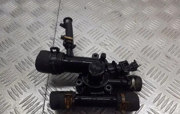 Renault Megane II Thermostat/thermostat housing 