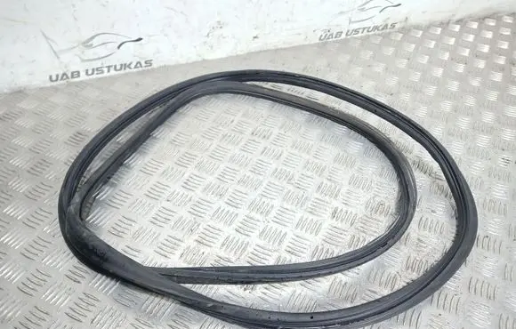 Porsche Cayenne (9PA) Rubber seal rear door 