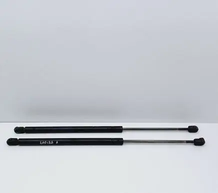 Tailgate/trunk strut/damper