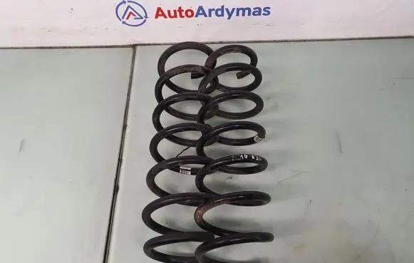 Rear coil spring