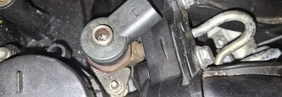 BMW 3 E46 Fuel injector 0445110131