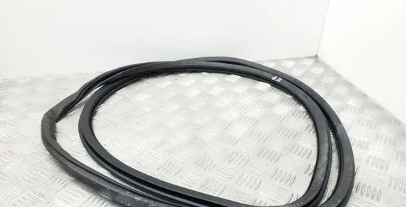 Seat Exeo (3R) Front door rubber seal 8E0831721E