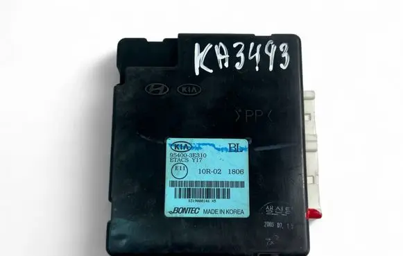 KIA Sorento Other control units/modules 954003E310