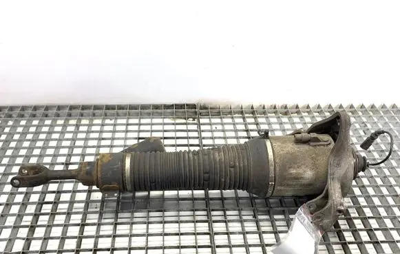 Volkswagen Phaeton Front shock absorber/damper 3D0616040L