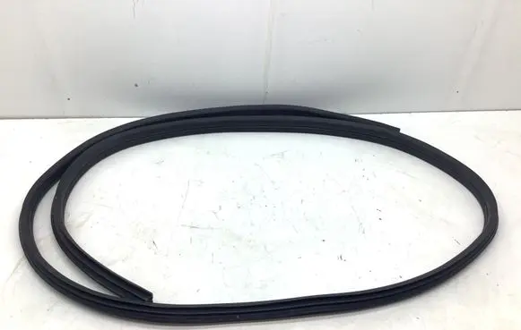 Dacia Spring Front door rubber seal