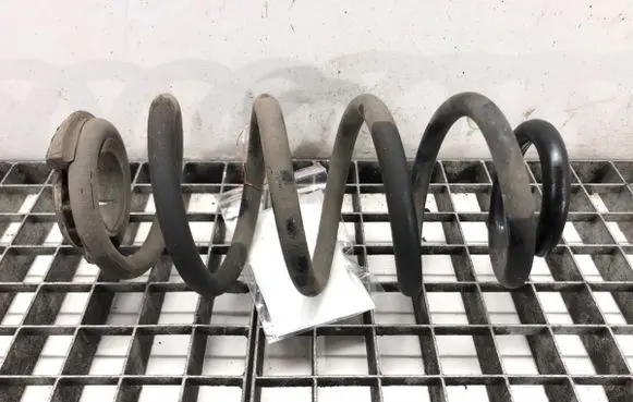 Rear coil spring
