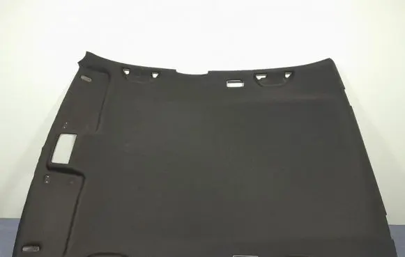 Seat Leon (1M) Headlining