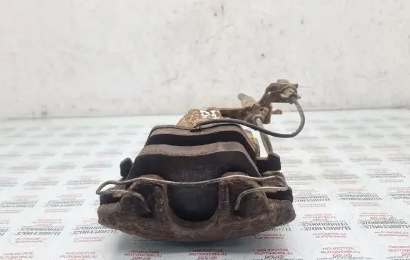 Volkswagen PASSAT B5.5 Front brake caliper