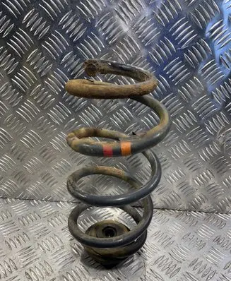 Rear coil spring