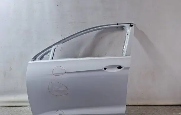 Opel Insignia B Front door 39171973