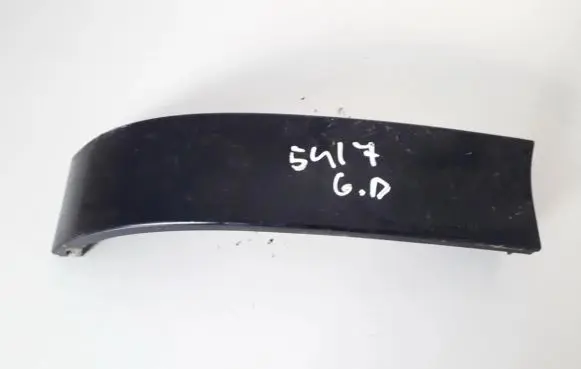 Rear/tail light trim molding