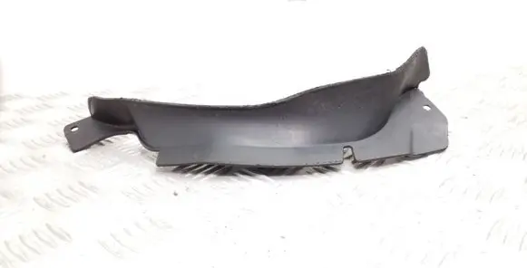 Front mudguard