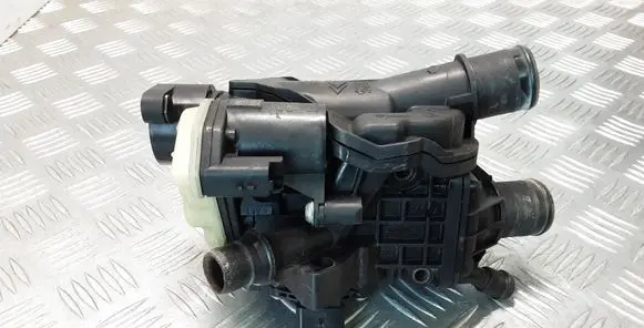 Thermostat/thermostat housing