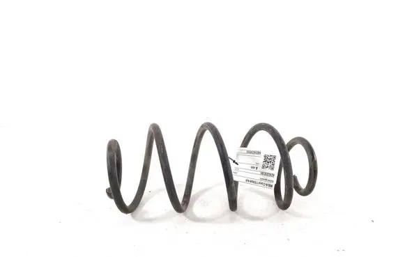 Rear coil spring