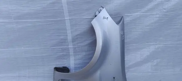 Renault Clio III Fender BLOTNIKLEWYCLIO