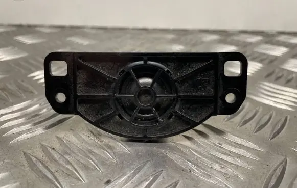 Panel speaker