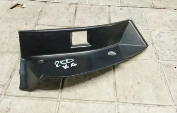 Rear/tail light trim molding