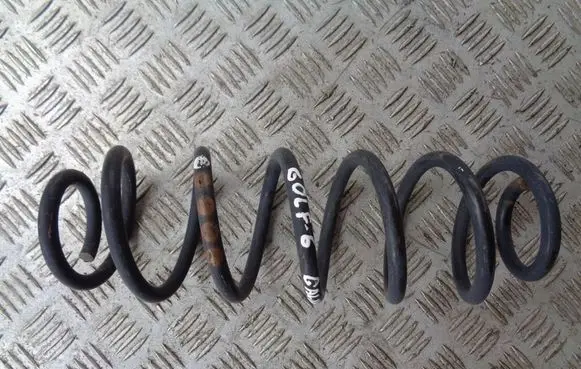 Rear coil spring