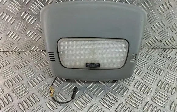 Volkswagen Crafter Front seat light A9066950569