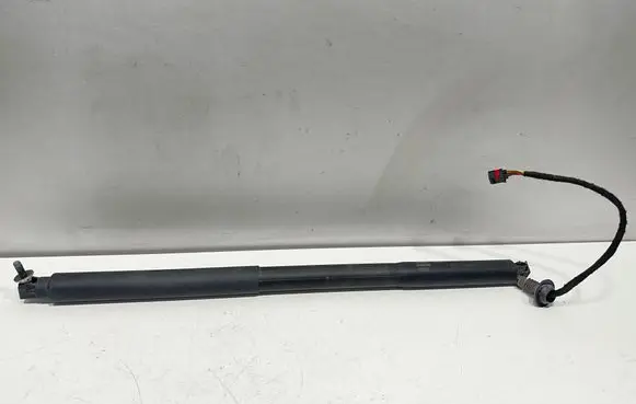 Tailgate/trunk strut/damper