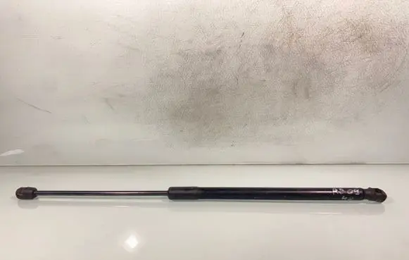 Tailgate/trunk strut/damper