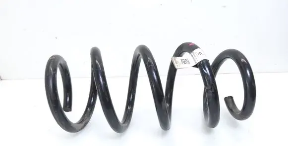 Tesla Model 3 Rear coil spring 104447291E