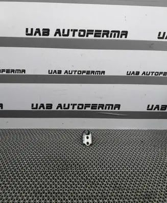 Renault Megane IV Rear door lower hinge 6990R