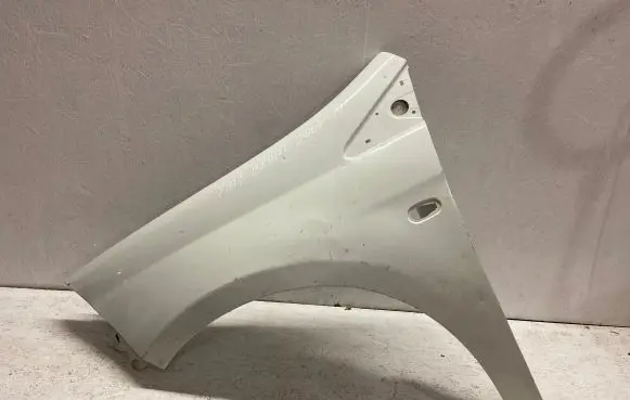 Fiat Bravo Fender