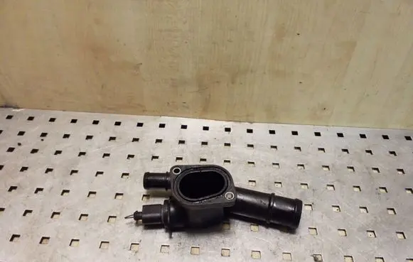 Thermostat/thermostat housing