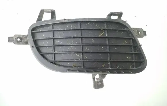 Mercedes-Benz A W169 Front bumper lower grill 1698850222