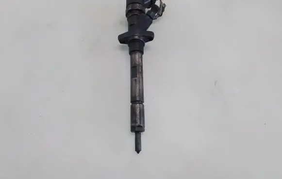 Citroen C8 Fuel injector 0445110036