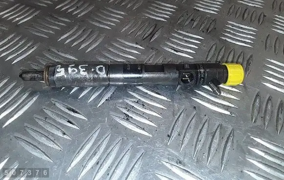 Renault Kangoo I Fuel injector 8200567290 ejbr04001d 8200049873