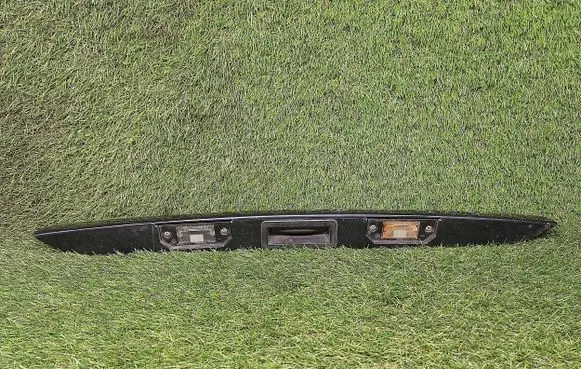 Trunk door license plate light bar