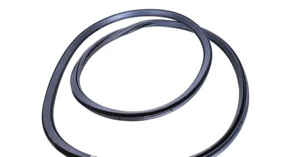 Polestar 2 Rubber seal front coupe door 31662569