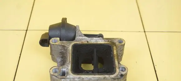 Volvo C30 Throttle body valve D5204T