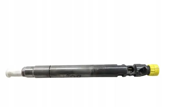 Ford Focus Fuel injector 