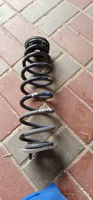 Rear coil spring