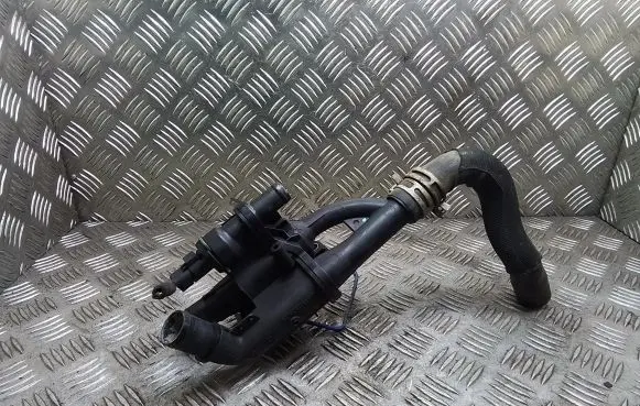 Thermostat/thermostat housing