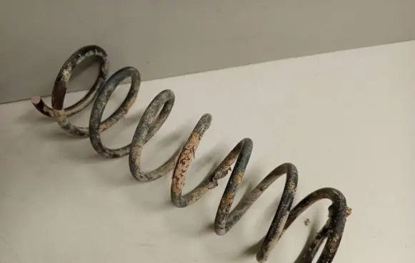 Ford Focus Rear coil spring