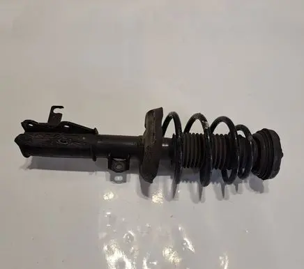 Opel Insignia A Front shock absorber with coil spring