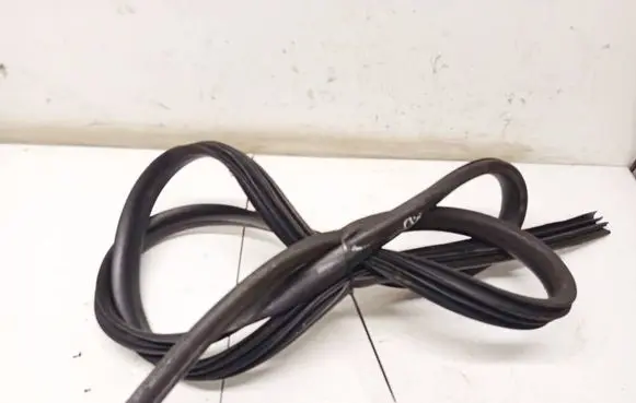 Dacia Sandero Rubber seal front coupe door PILKOS