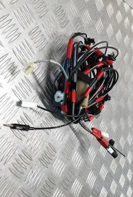 Other wiring loom