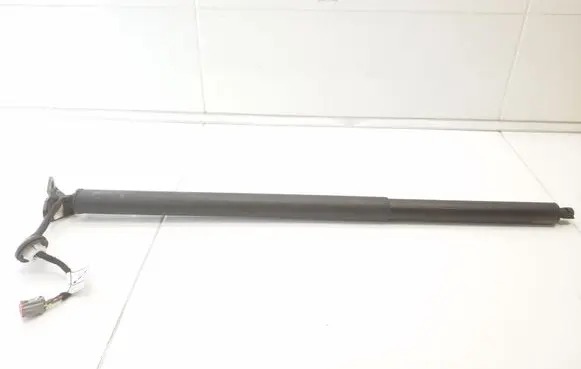 Ford Mustang Mach-E Tailgate/trunk strut/damper LJ8BR402A54AE