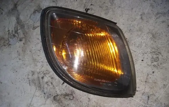 Front fender indicator light