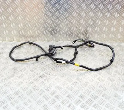 Tesla Model 3 Other wiring loom 106876901D