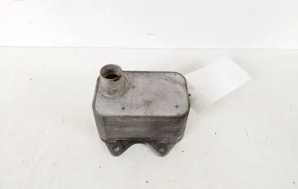Volkswagen Multivan T5 Oil filter mounting bracket 06J117021P