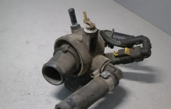 Thermostat/thermostat housing